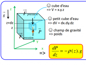 Quel Est Le Principe Fondamental De L’hydrostatique ? – Creasite ...